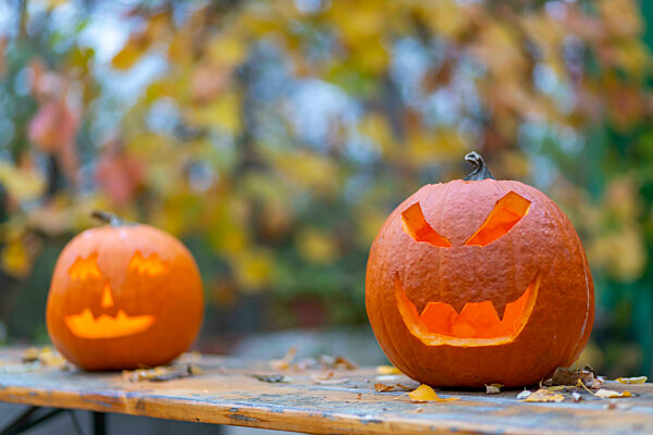 halloween pumpkin, autumn still life