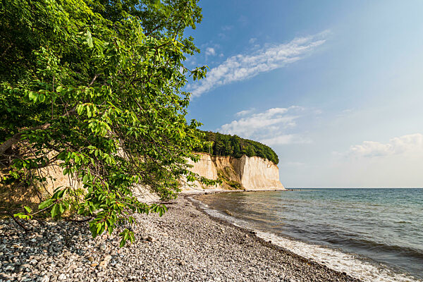 Chalk cliffs on the Baltic Sea coast on the island Ruegen, Germa