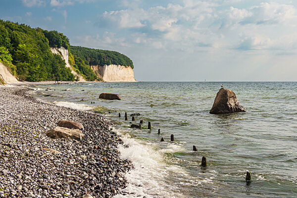 Chalk cliffs on the Baltic Sea coast on the island Ruegen, Germa