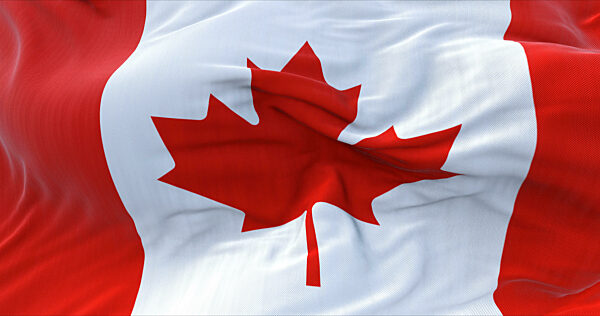 Detail of the National Flag of Canada waving in the wind. Red ma