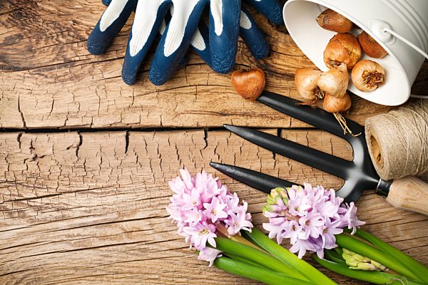 garden tools with flowers on wood background