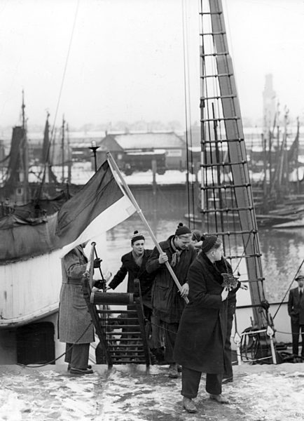 Friedliche Invasoren der Insel Helgoland