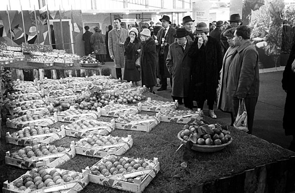 Internationale Grüne Woche in Berlin