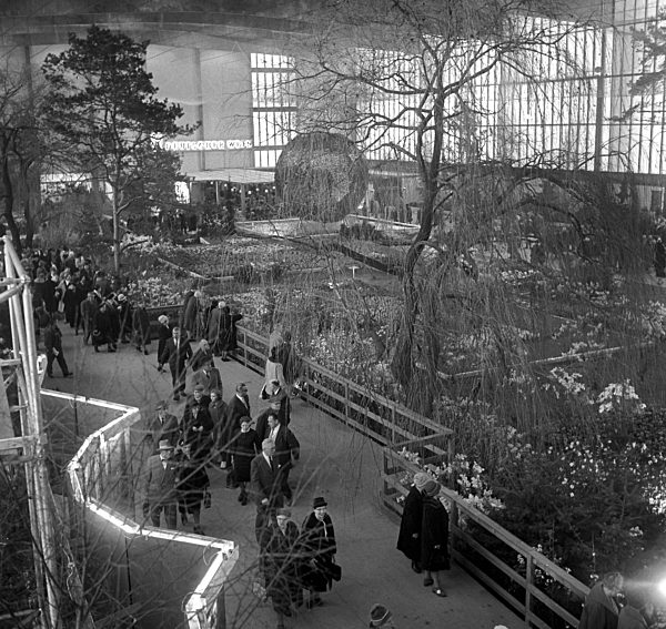 Internationale Grüne Woche eröffnet