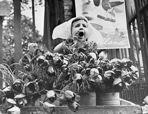 Tulpenfest in New York 1952