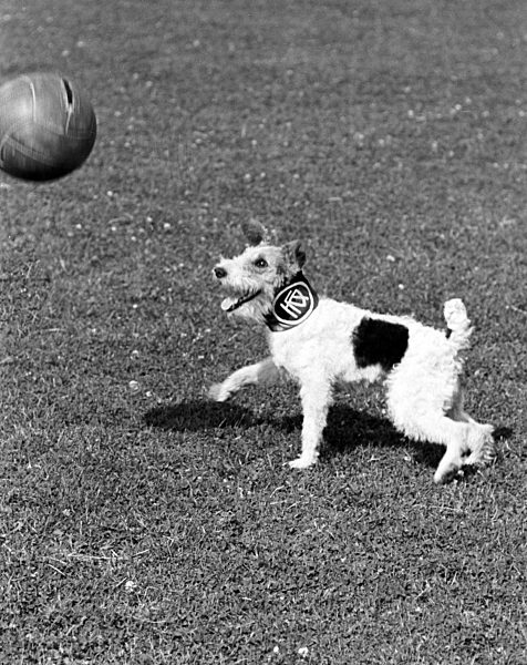 Soccer - 1948-49 - VfR Mannheim - Borussia Dortmund 3-2 aet