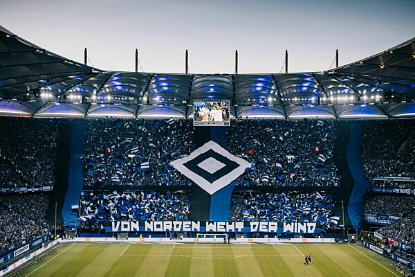 Hamburger SV - SSV Ulm 1846 Fußball