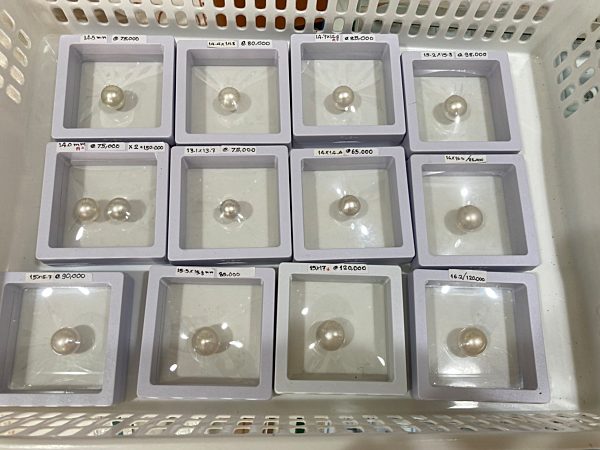 Der Perlenzüchter von Phuket