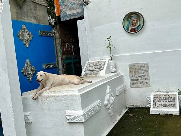 Manila North Cemetery - Der Friedhof-Slum von Manila