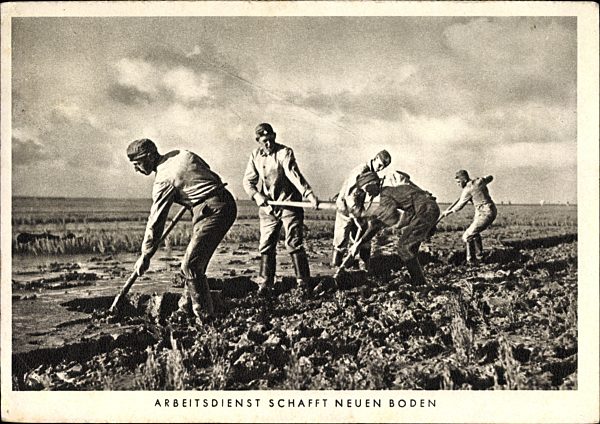 Reichsarbeitsdienst schafft neuen Boden, Feldarbeit, Schaufeln