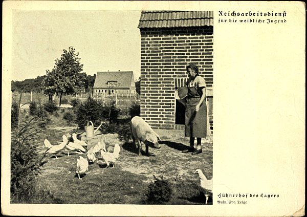 Reichsarbeitsdienst für die weibliche Jugend, Hühnerhof des Lagers