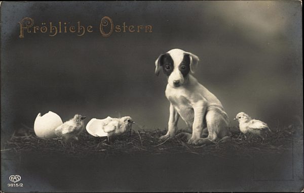 Fröhliche Ostern, Ein Hundewelpe mit jungen Küken