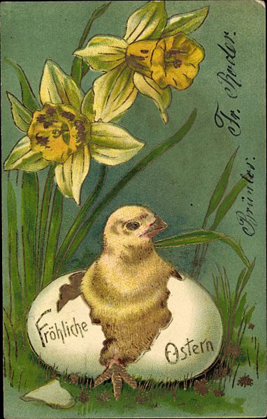 Glückwunsch Ostern, Küken, Eierschale, Osterglocken