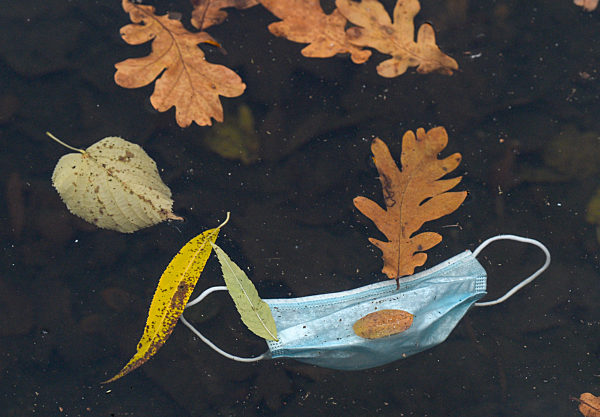 Einwegmaske schwimmt im Wasser