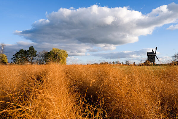Bockwindmühle Beelitz