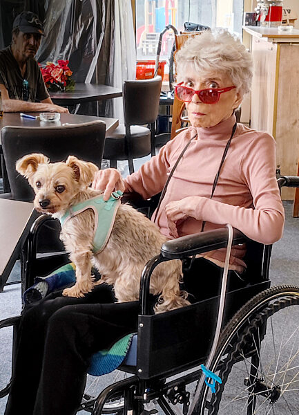 Ingrid Steeger Pflegeheim Bad Hersfeld