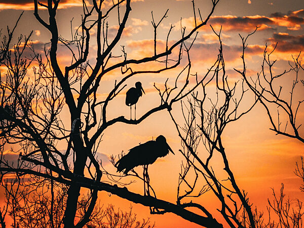 Eye­cat­cher & Ku­rio­si­tä­ten KW 17 dpa Picture-Alliance präsentiert die Eyecatcher und Kuriositäten unserer Fotografen und Partneragenturen der Kalenderwoche 17.