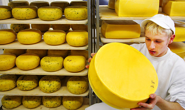 Für die Grüne Woche: Käse aus Schmachtenhagen