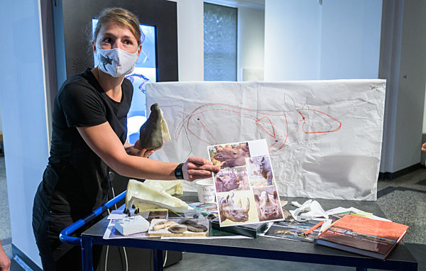 25 Jahre UNESCO-Welterbe Grube Messel