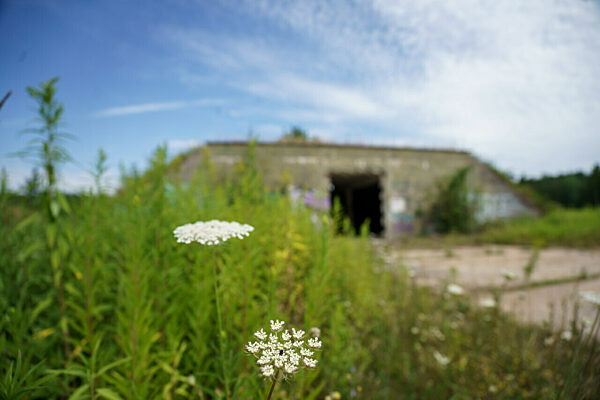 Unberührte Natur auf ehemaliger Militäranlage