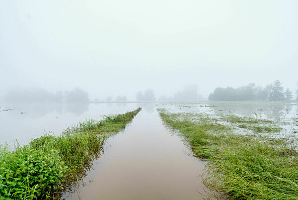Hochwasser - Blieskastel