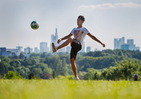 Sommer auf dem Lohrberg
