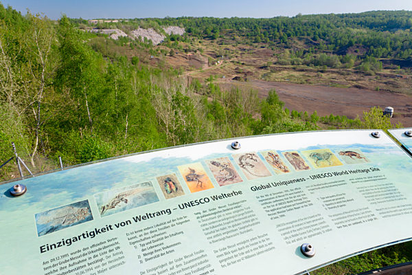 Wall chart of fossils / Grube Messel
