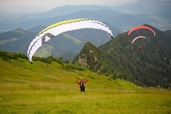 Paraglider