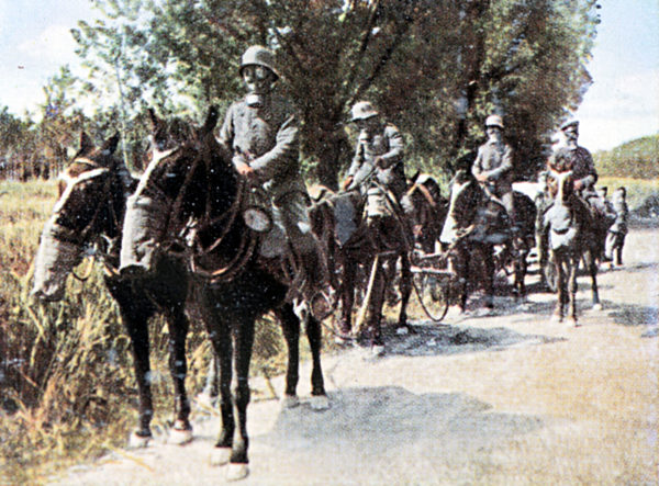 I. WK - Gasschutz für Pferde