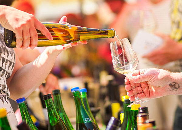 Rekord-Weinprobe mit 1100 Weinen in Nordheim am Main