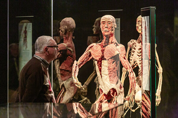 Polen, Poznan - MUSKELMANN und Skelett, Ausstellung Koerperwelten & Der Zyklus des Lebens, von Gunther von Hagens