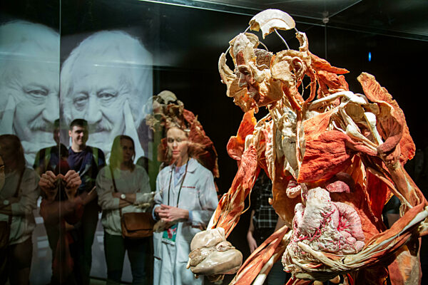 Polen, Poznan - ORGAN MAN, Ausstellung Koerperwelten & Der Zyklus des Lebens, von Gunther von Hagens
