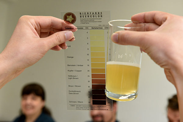 European Beer Award in München, 2019