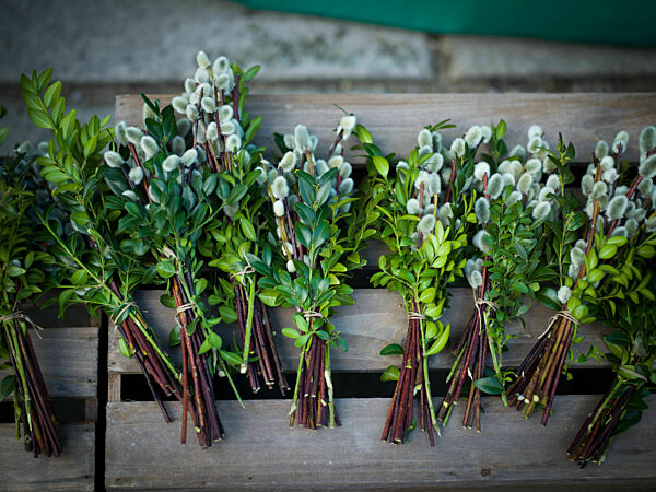 Gebundene Palmbuschen, Freising 2022