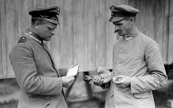 Taubenmeister liest Fliegermeldung, 1918