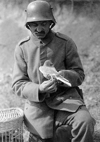 Deutscher Soldat mit Brieftaube, 1918