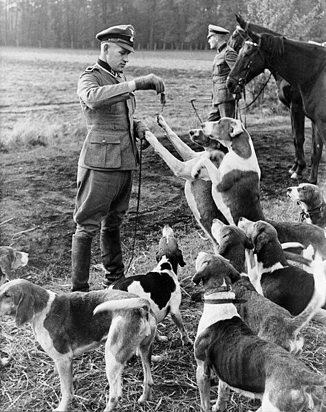 Mounted police with hunting dogs, 1938