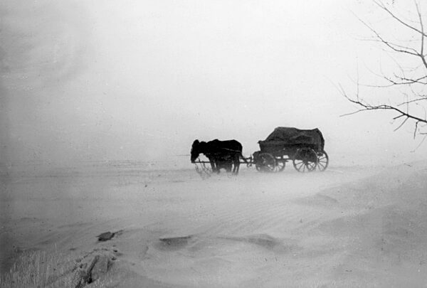Panje-horse wagon in snow on the Eastern front, 1941
