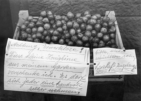 Help for people without work and income