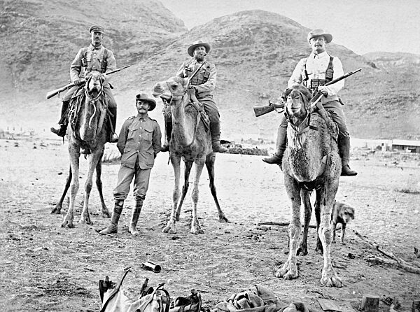Camel riders of the protection force during the Herero uprising, 1904