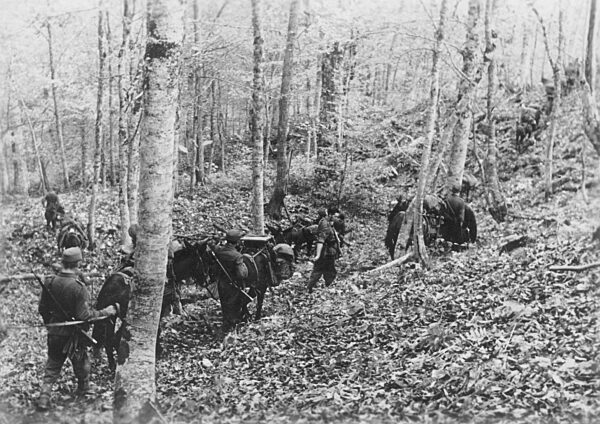 German mountain troops in the Caucasus, 1942
