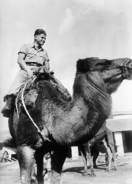 German soldier on a camel, 1942