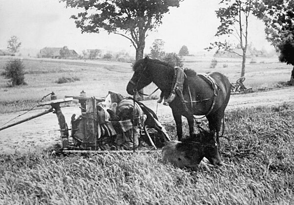 Umgestürzte Wagen eines Flüchtlingstrecks, 1944/45