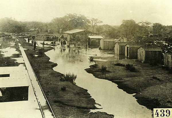 Rainy season in German Southwest Africa, 1904