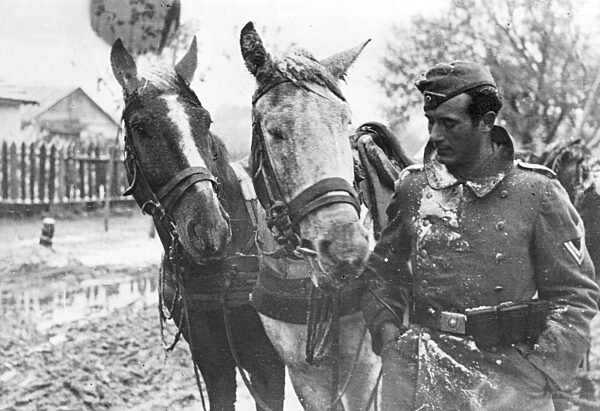 German Coachman Standing Next to his Horses, 1941