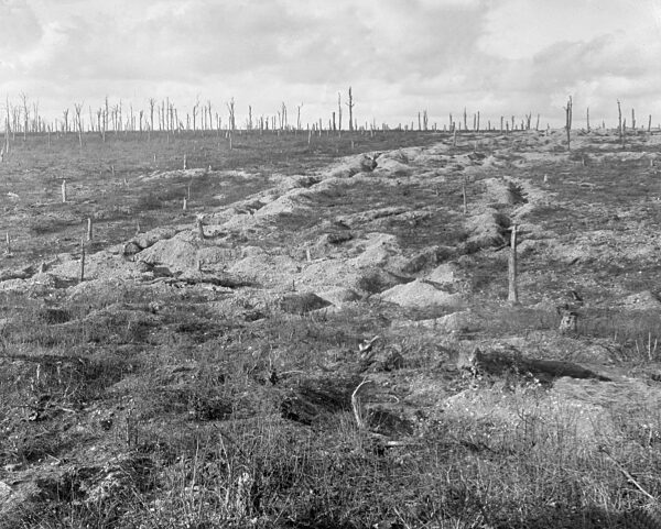 Abandoned German position in Moully, 1919