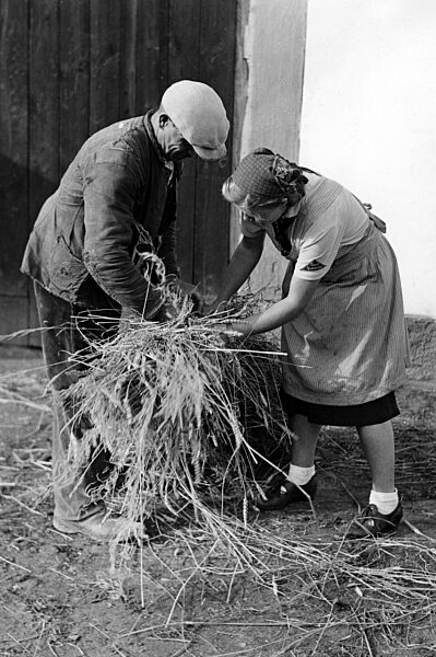 Landjahrmädel beim Getreidedreschen, 1940