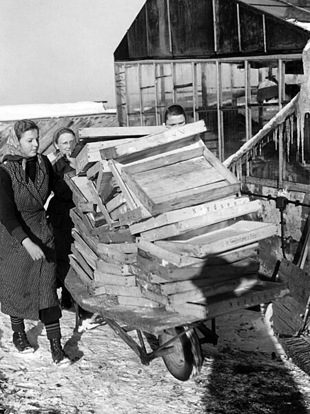 Jungmädel beim Landdienst im Winter, 1940