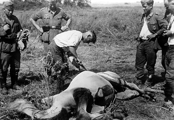 German soldiers at the Don, 1942