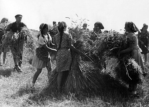BDM-Mädchen im Ernteeinsatz, 1942